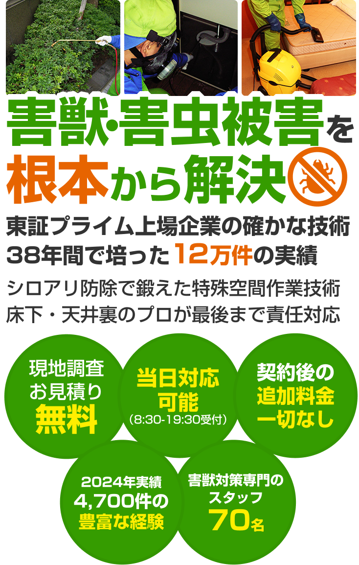 株式会社アサンテ