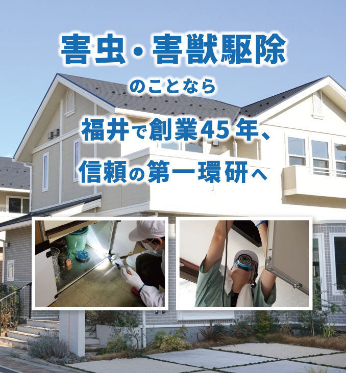 株式会社第一環研